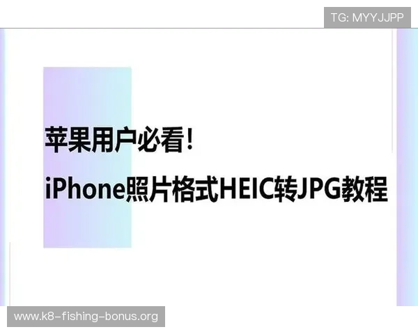 苹果用户必看凯发客户端免费下载安装指南及常见问题解决方案